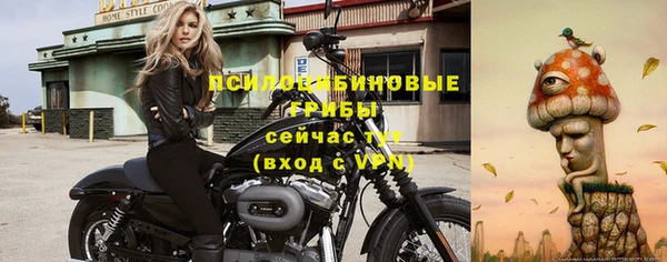 стафф Верхний Тагил
