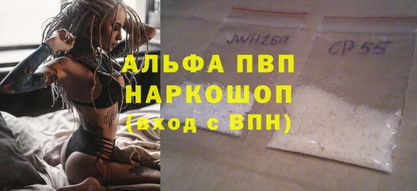 ГАЛЛЮЦИНОГЕННЫЕ ГРИБЫ Верея