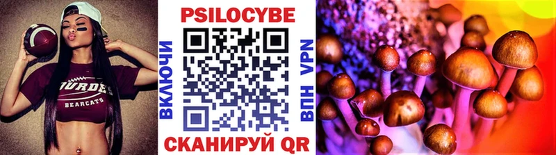Галлюциногенные грибы Psilocybine cubensis купить наркотик Каневская